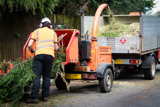 Menasha, WI Tree Services Company
